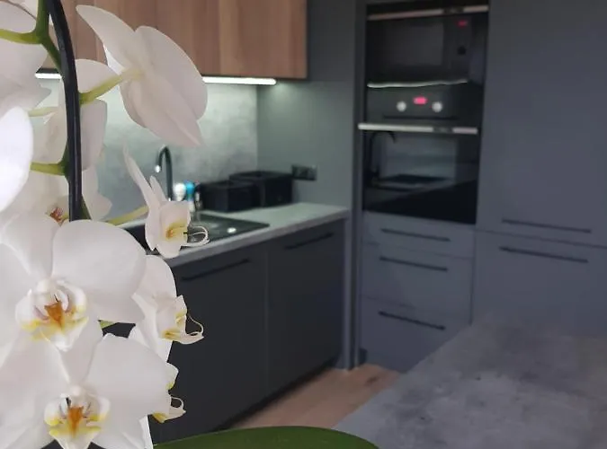 Luksusowe Na Torunskiej *